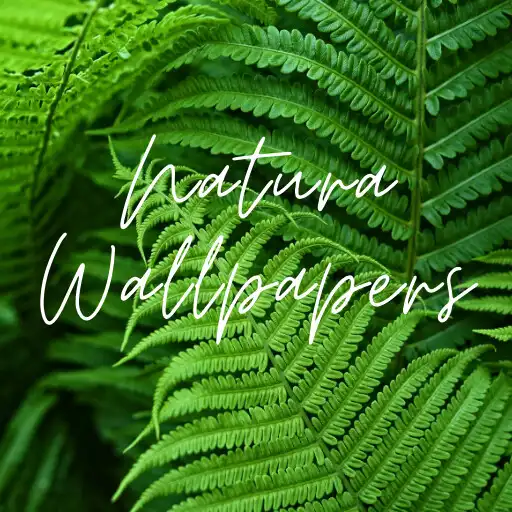 Play Natura Wallpapers [ 4K ] APK